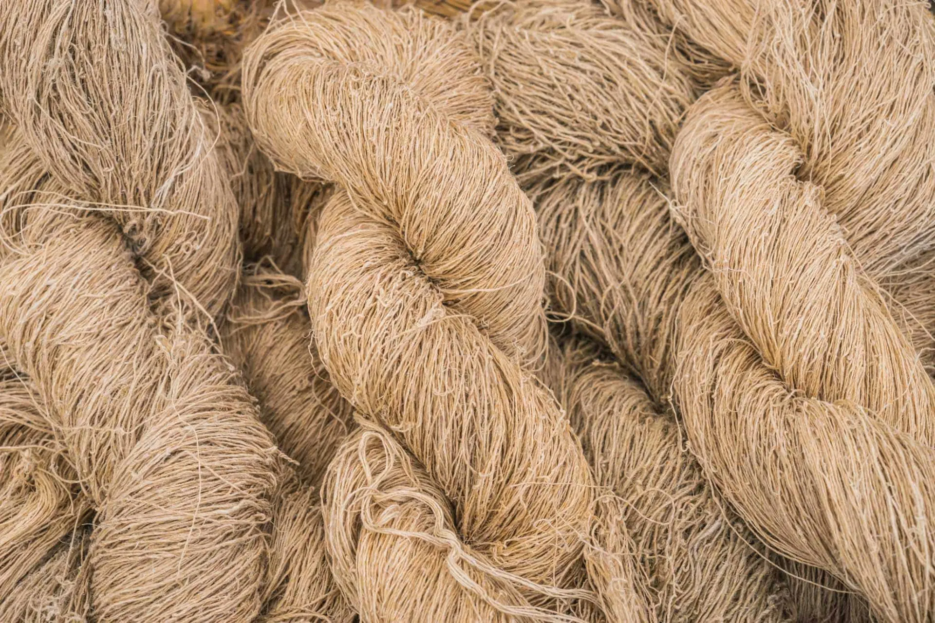 Hemp