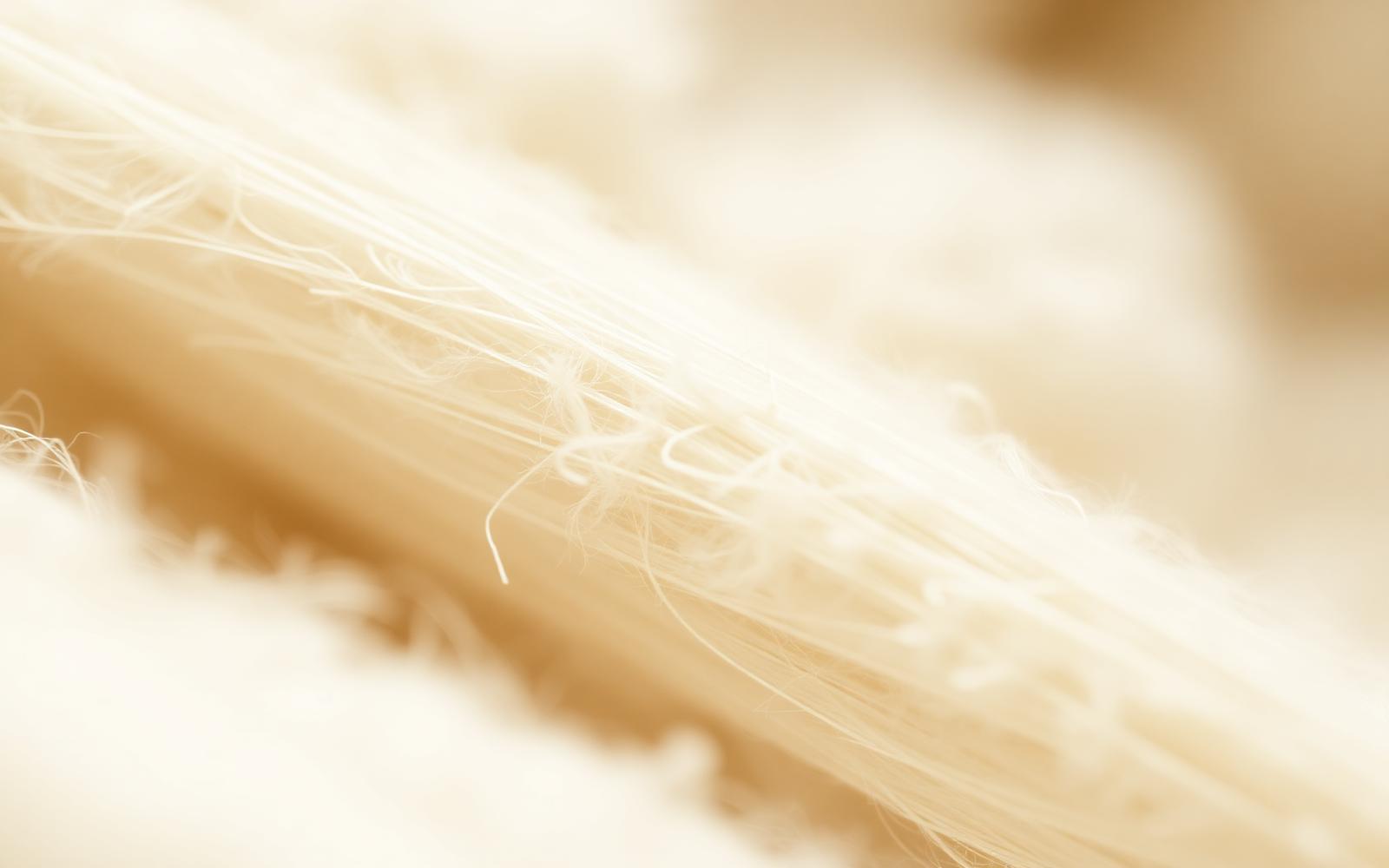 Fiber & raw material